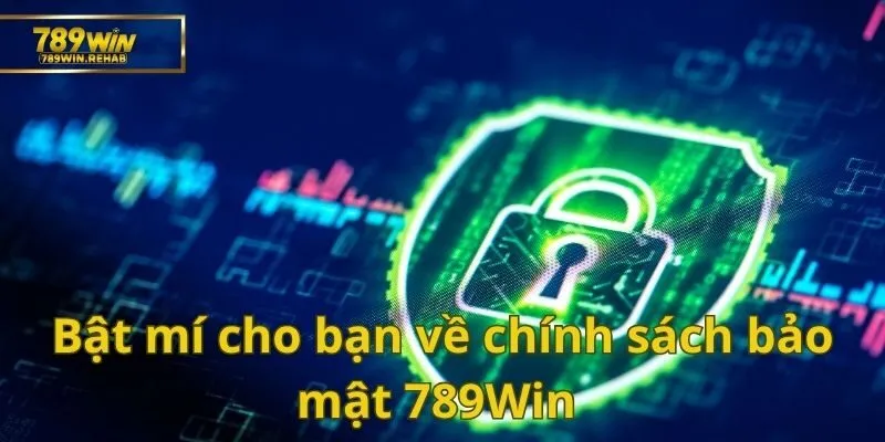 Cùng khám phá bí mật chính sách bảo mật 789Win mới nhất - Bạn đã biết chưa? 1 Giải đáp tất tần tật về các chính sách 789Win