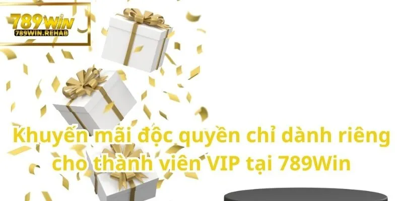 Trở thành VIP của nền tảng cá cược 789Win - Bước vào đẳng cấp giải trí thượng lưu 3 Đây chính là cơ hội tuyệt vời đẻ vừa chơi, vừa được nhận thưởng thêm chỉ có tại VIP 789Win
