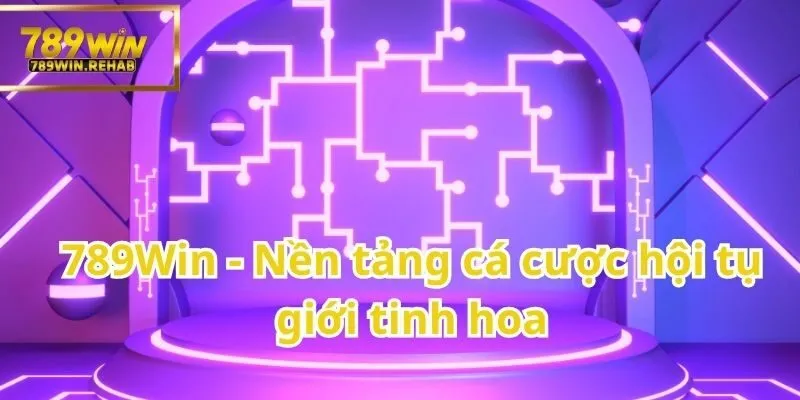 Trở thành VIP của nền tảng cá cược 789Win - Bước vào đẳng cấp giải trí thượng lưu 1 Chình đắm vào thế giới cá cược đầy bất ngờ