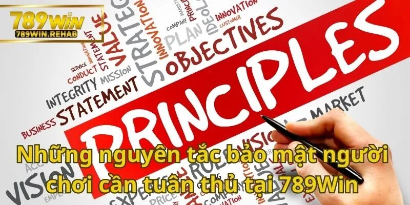 Những điều quan trọng cần tìm hiểu về chính sách quyền riêng tư 789Win 4 Người chơi cần nắm rõ các nguyên tắc sau