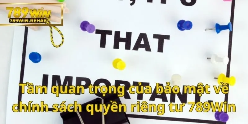 Những điều quan trọng cần tìm hiểu về chính sách quyền riêng tư 789Win 3 Chính sách quyền riêng tư 789Win gồm có những gì?