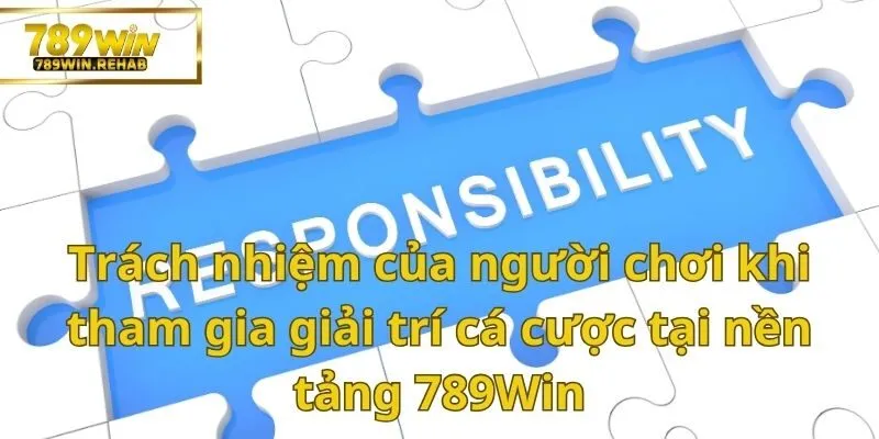 Bật mí bí mật toàn bộ về chính sách miễn trừ trách nhiệm 789Win 4 Trách nhiệm của mọi người chơi khi bắt đầu tham gia giải trí tại 789Win
