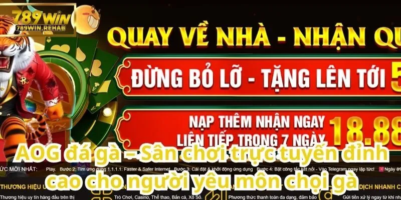 AOG đá gà