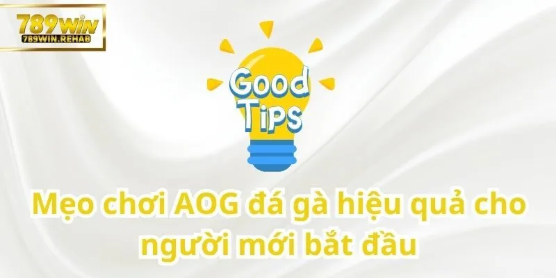 AOG đá gà – Sân chơi trực tuyến đỉnh cao cho người yêu môn chọi gà 3 Hướng dẫn chơi AOG đá gà hiệu quả cho người mới