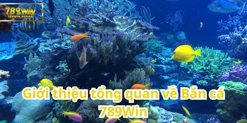 Toàn bộ những điều cần biết về Bắn cá tại 789Win
