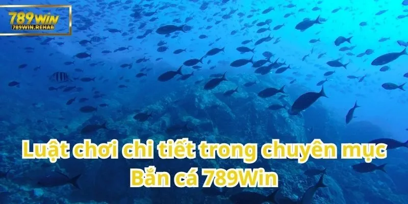Quy tắc chơi cụ thể của trò Bắn cá tại 789Win