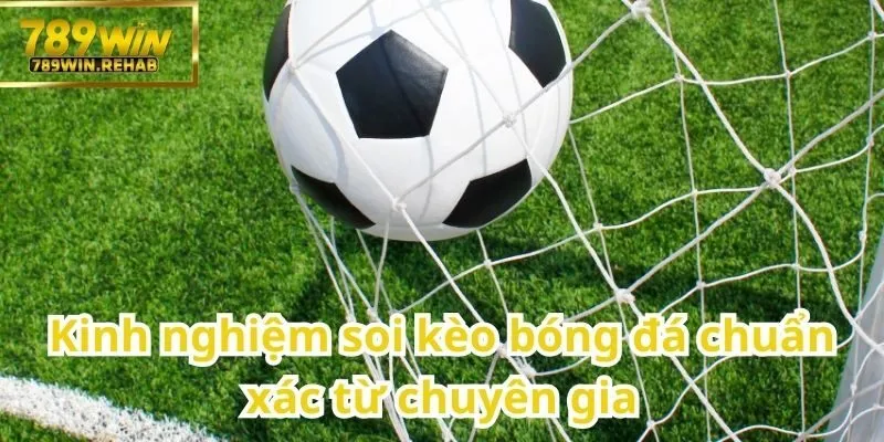 Cá cược bóng đá – Trải nghiệm kịch tính cùng trái bóng tròn tại 789Win 2 Bóng đá chuẩn chỉnh theo góc nhìn chuyên gia