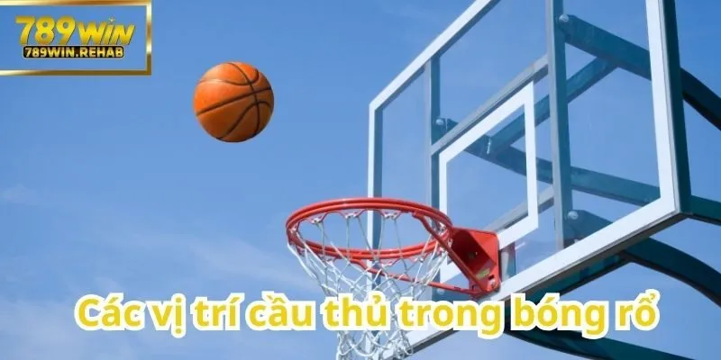 Tìm hiểu môn thể thao bóng rổ – Vua của những đường ném 2 Những vị trí cơ bản của cầu thủ trên sân bóng rổ