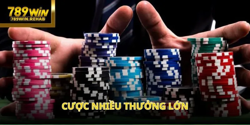 Cược nhiều thưởng lớn – cơ hội nhận tới 2.888 điểm mỗi ngày tại 789Win