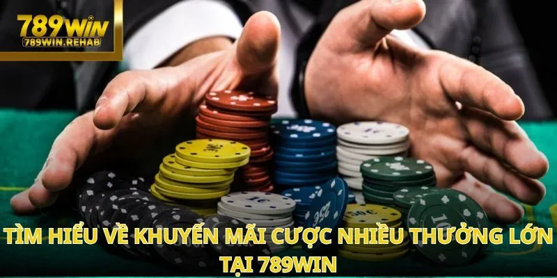Cược nhiều thưởng lớn – cơ hội nhận tới 2.888 điểm mỗi ngày tại 789Win 1 Cược nhiều thưởng lớn – cơ hội nhận tới 2.888 điểm mỗi ngày tại 789Win