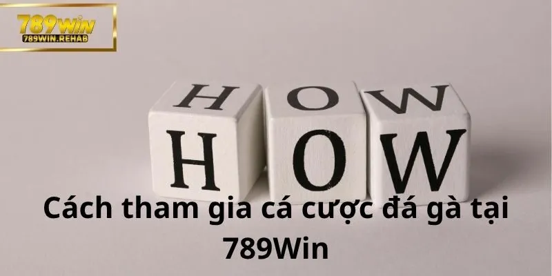 Các bước để cá cược đá gà tại 789Win hiệu quả