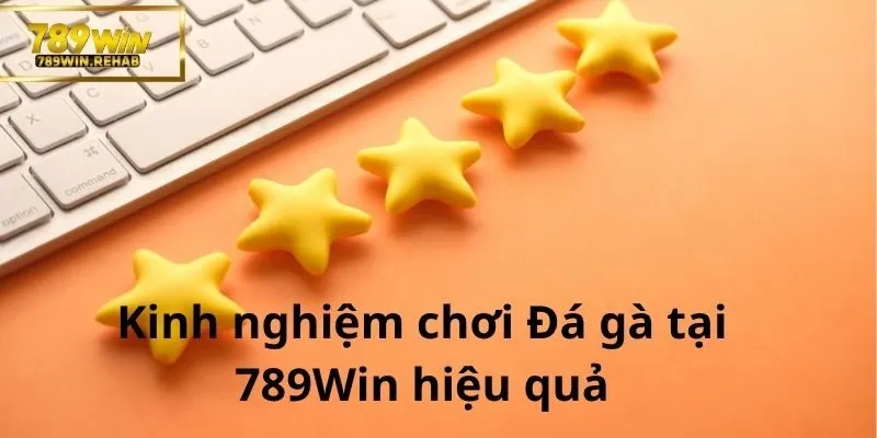 Mẹo chơi Đá gà hiệu quả trên nền tảng 789Win