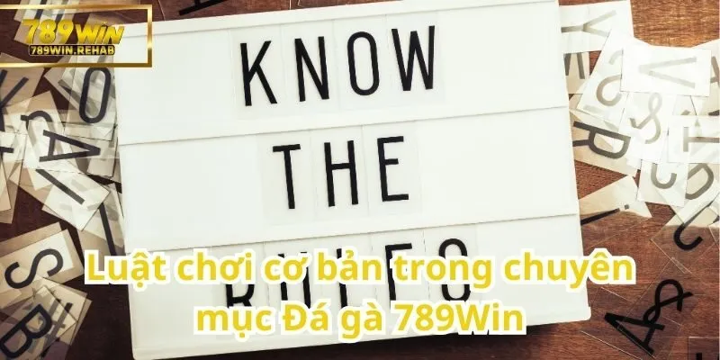 Kiến thức luật chơi cơ bản cho chuyên mục Đá gà tại 789Win