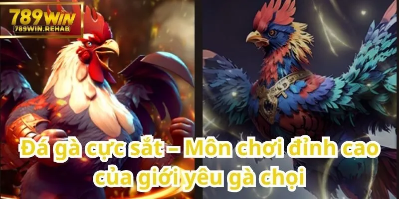 Đá gà cực sắt