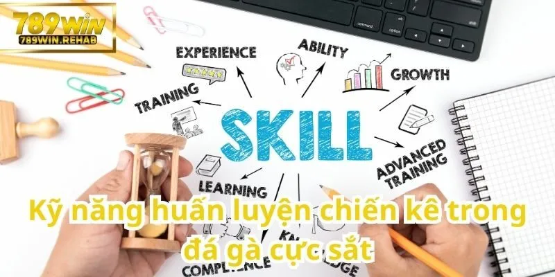 Đá gà cực sắt – Môn chơi đỉnh cao của giới yêu gà chọi 2 Bí quyết rèn luyện chiến kê cho đá gà cực sắt