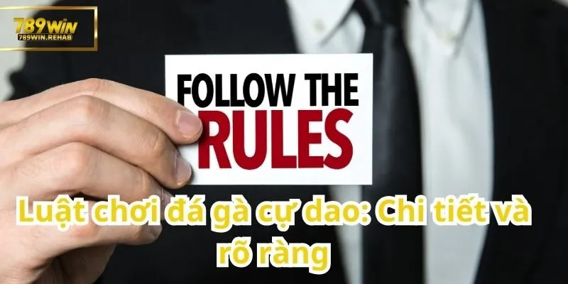 Đá gà cự dao – Môn thể thao truyền thống mang tính sát phạt cao 2 Rõ ràng và cụ thể từng bước
