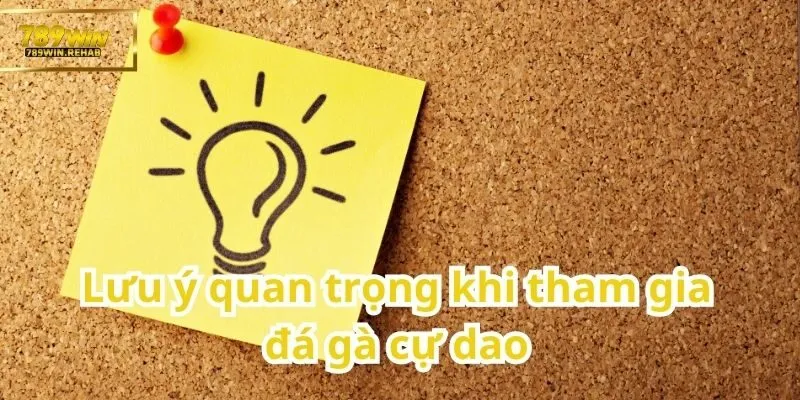 Đá gà cự dao – Môn thể thao truyền thống mang tính sát phạt cao 3 Chú ý quan trọng dành cho người chơi đá gà cự dao