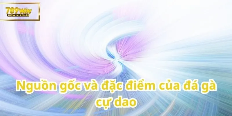 Đá gà cự dao – Môn thể thao truyền thống mang tính sát phạt cao 1 Khám phá lịch sử và đặc điểm đặc trưng của đá gà cự dao