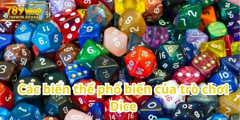 Dice – Trò chơi xúc xắc hấp dẫn và luật chơi chi tiết cho người mới 2 Những phiên bản Dice được ưa chuộng hiện nay