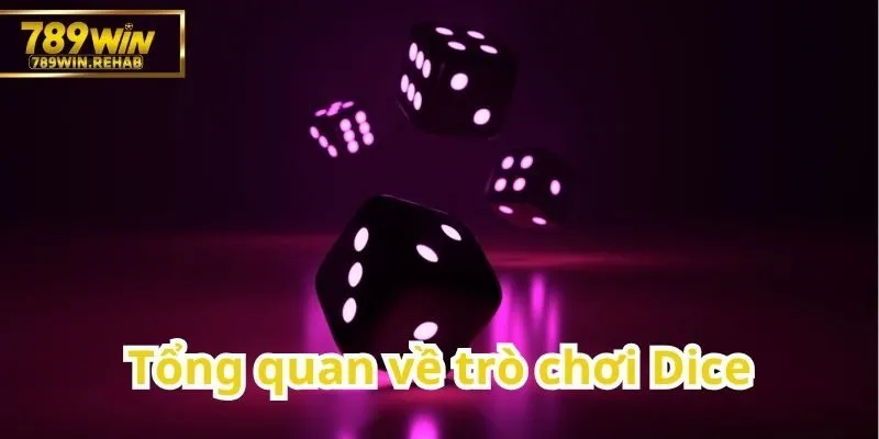 Dice – Trò chơi xúc xắc hấp dẫn và luật chơi chi tiết cho người mới 1 Khám phá những điều cơ bản về game Dice