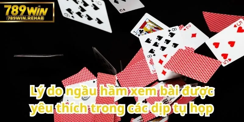 Tìm hiểu về ngầu hầm xem bài – Trò chơi bài kịch tính đầy hấp dẫn 3 Ngầu hầm xem bài lại trở thành trò chơi được ưa chuộng trong những buổi tụ họp