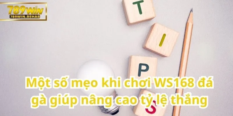 WS168 đá gà – Sân chơi đỉnh cao cho người yêu thích chọi gà trực tuyến 3 Những bí quyết chơi đá gà WS168 để nâng cao tỷ lệ thắng