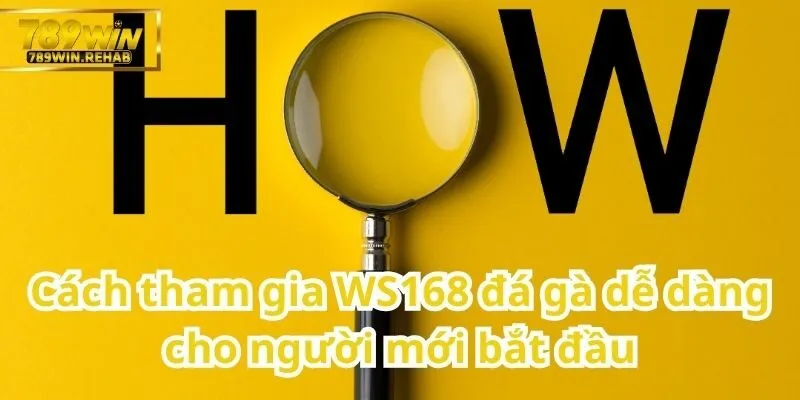WS168 đá gà – Sân chơi đỉnh cao cho người yêu thích chọi gà trực tuyến 2 Cách chơi WS168 đá gà nhanh chóng và thuận tiện cho tân thủ